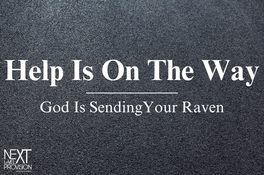 God is Sending your Raven